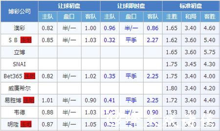 世界杯下注盘口预测：专家独家分析