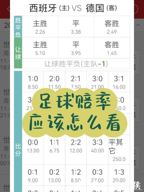 世界杯买球:实时赔率变化对策详解 世界杯买球:实时赔率变化对策详解